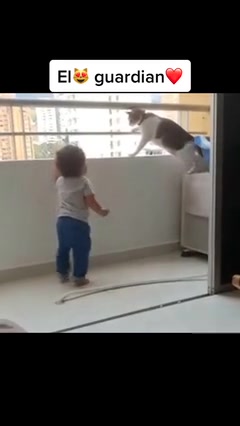 Garotinho Brincando Com Seu Gatinho Fofo No Parapeito De Uma Janela Em Uma  Sala De Berçário PNG , Sala De Jogos, Jogo Infantil, Casa De Brinquedo PNG  Imagem para download gratuito